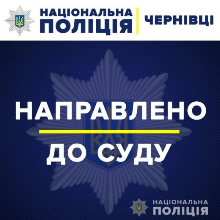 Буковинські поліцейські скерували до суду обвинувальний акт відносно кермувальника, який спричинив наїзд на жінку-пішохода
