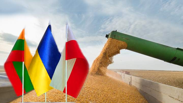 Українські перевізники зерна отримали суттєве пом’якшення правил