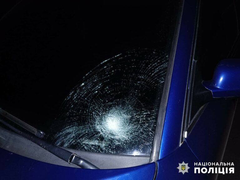 Поліцейські відправили на лаву підсудних жителя Березівки, який допустив ДТП та травмував літню жінку