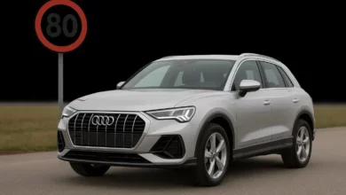 Speed limit sign 80 km/h