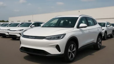 BYD electric vehicles waiting for export.