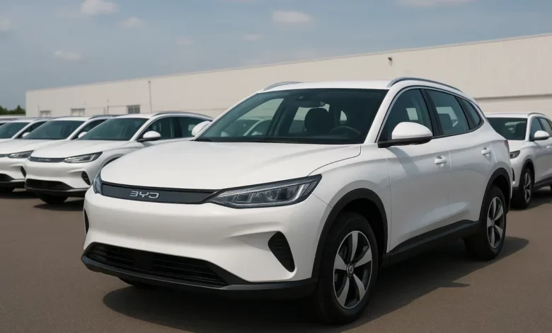 BYD electric vehicles waiting for export.