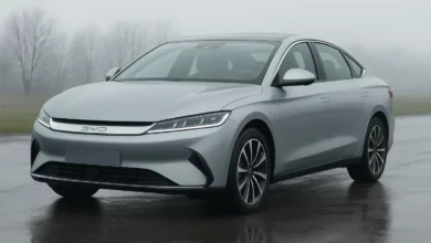 BYD electric vehicle sales decline.