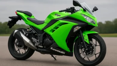 Kawasaki Ninja 300 motorcycle