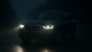 The image portrays a dimly lit night road illuminated by bright headlights from a vehicle approaching from the distance.