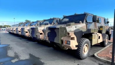 Нідерланди терміново замовили бронемашини Bushmaster з урахуванням досвіду України
