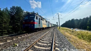 На Рівненщині вантажний потяг смертельно травмував жінку