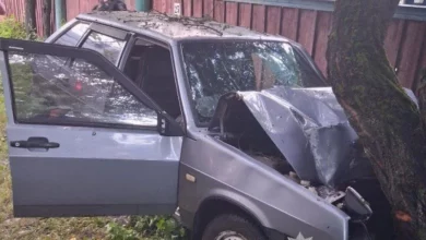 На Конотопщині водій ВАЗ загинув у ДТП, врізавшись у дерево