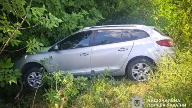 Під Полтавою Renault з’їхав у кювет: травмовані водій та малолітня дитина