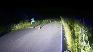 У Звягельському районі з’ясовують обставини ДТП за участю 14-річного мотоцикліста