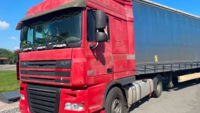 У Василькові вантажівка DAF травмувала пішохода на переході