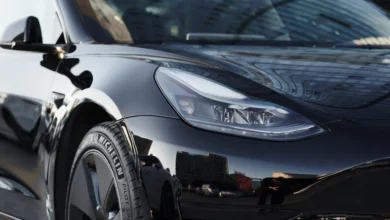 Tesla зобов’язали відкликати майже 20 тисяч Model 3 і Model Y через фари