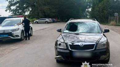 У селі Погарщина Skoda Octavia смертельно травмувала пішохода