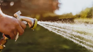 Як помити авто під час заборони на шланги: 10 порад для економії води