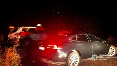 Поблизу Кульбакіного зіткнулися Hyundai Santa Fe та Tesla: двоє травмованих