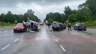Поліція завершила розслідування смертельної ДТП з чотирма авто біля Житомира