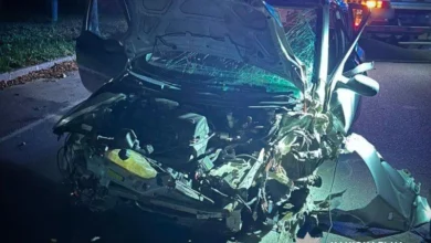 У Миргороді автомобіль Nissan з’їхав з дороги та врізався в дерево: водія госпіталізували