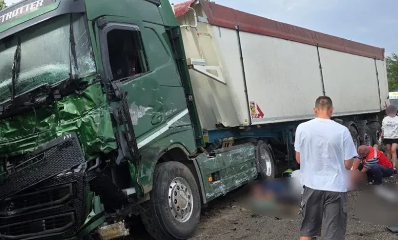 ДТП на трасі М-14 між Красним і Нечаяним: загинули 9 людей, 8 постраждали