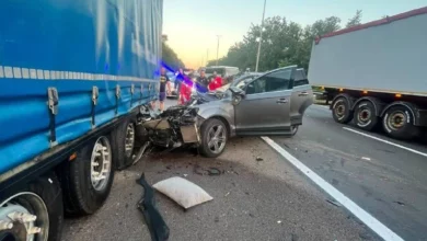Поліція Києва з’ясовує обставини смертельної ДТП на Житомирському шосе