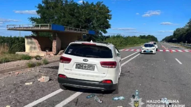На автодорозі Київ – Чоп біля Дідовичів Kia Sorento в’їхала в зупинку: є травмовані