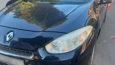У Смілі Renault Fluence збив 10-річну пішохідку: поліція розслідує ДТП