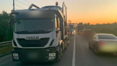 На трасі М-06 біля Пасік-Зубрицьких тимчасово блокували смугу через несправну вантажівку