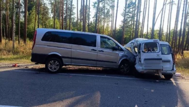 На Вишгородщині зіткнулися Renault Express і Mercedes-Benz Vito: один водій загинув, інший у лікарні