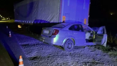 На Звягельщині в ДТП загинула пасажирка Daewoo Gentra, поліція з’ясовує обставини