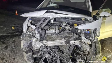 На трасі Київ–Чоп у Дубенському районі зіткнулися Citroen і Skoda: травмовані дорослі та діти