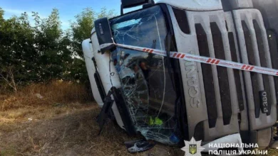 На трасі Золотоноша–Черкаси–Сміла–Умань вантажівка з’їхала в кювет через маневр ВАЗ