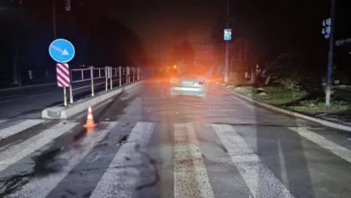 У Бердичеві водій Audi A4 збив двох пішоходів на переході