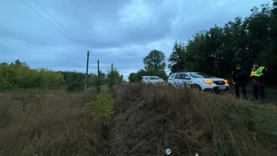 На трасі біля села Низи Mazda 6 врізалася в дерево: водій загинув