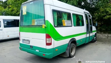 На автостанції в Дубні маршрутка Mercedes-Benz збила пішохідку