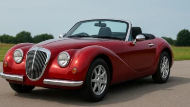Mitsuoka LA1 roadster