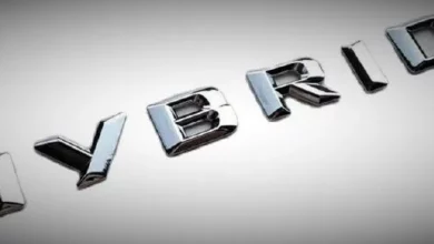 Названо найпопулярніші гібриди вересня на українському ринку