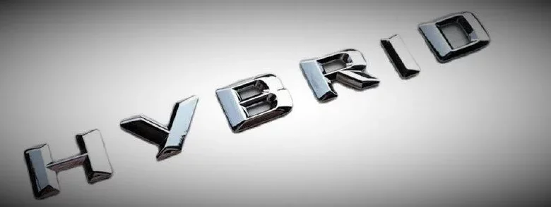 Названо найпопулярніші гібриди вересня на українському ринку