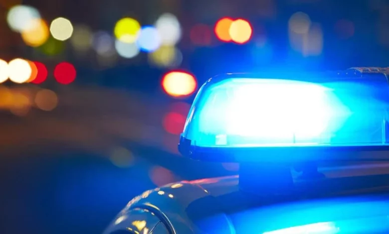 У Нью-Йорку шукають двох чоловіків, підозрюваних у серії крадіжок з комерційних авто